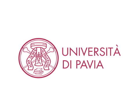 Articolo base (post)